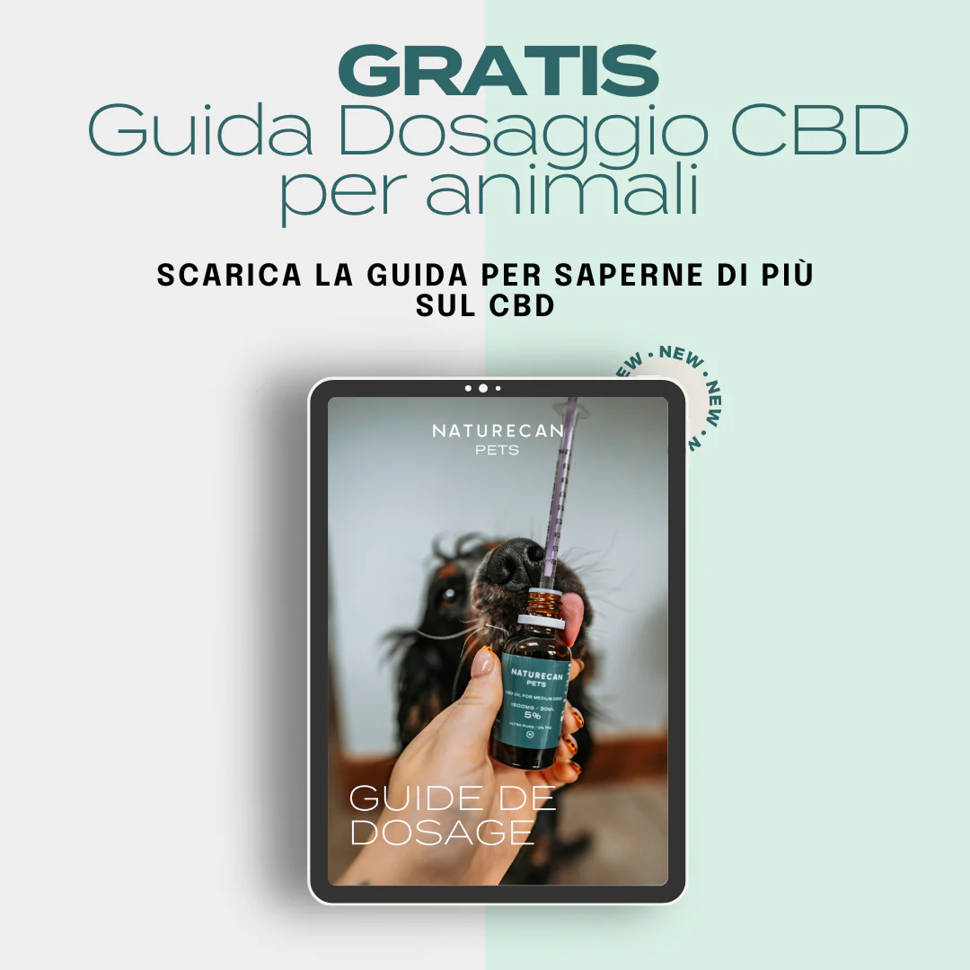 CBD per Animali